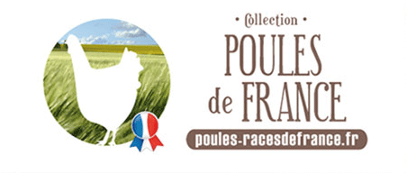 encart poules de france