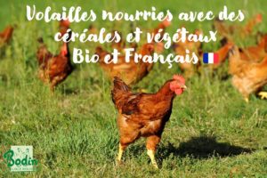 aliment_francais