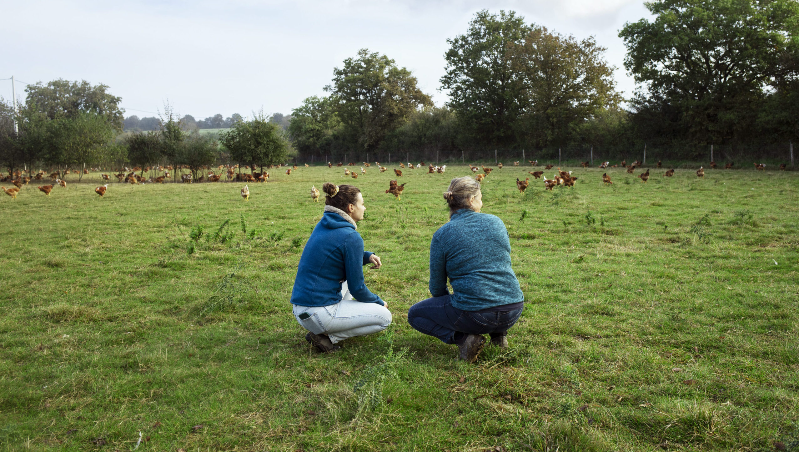Deux éleveuses observent un élevage de poules en plein air dans un champ verdoyant, symbolisant l’agriculture durable et le bien-être animal.