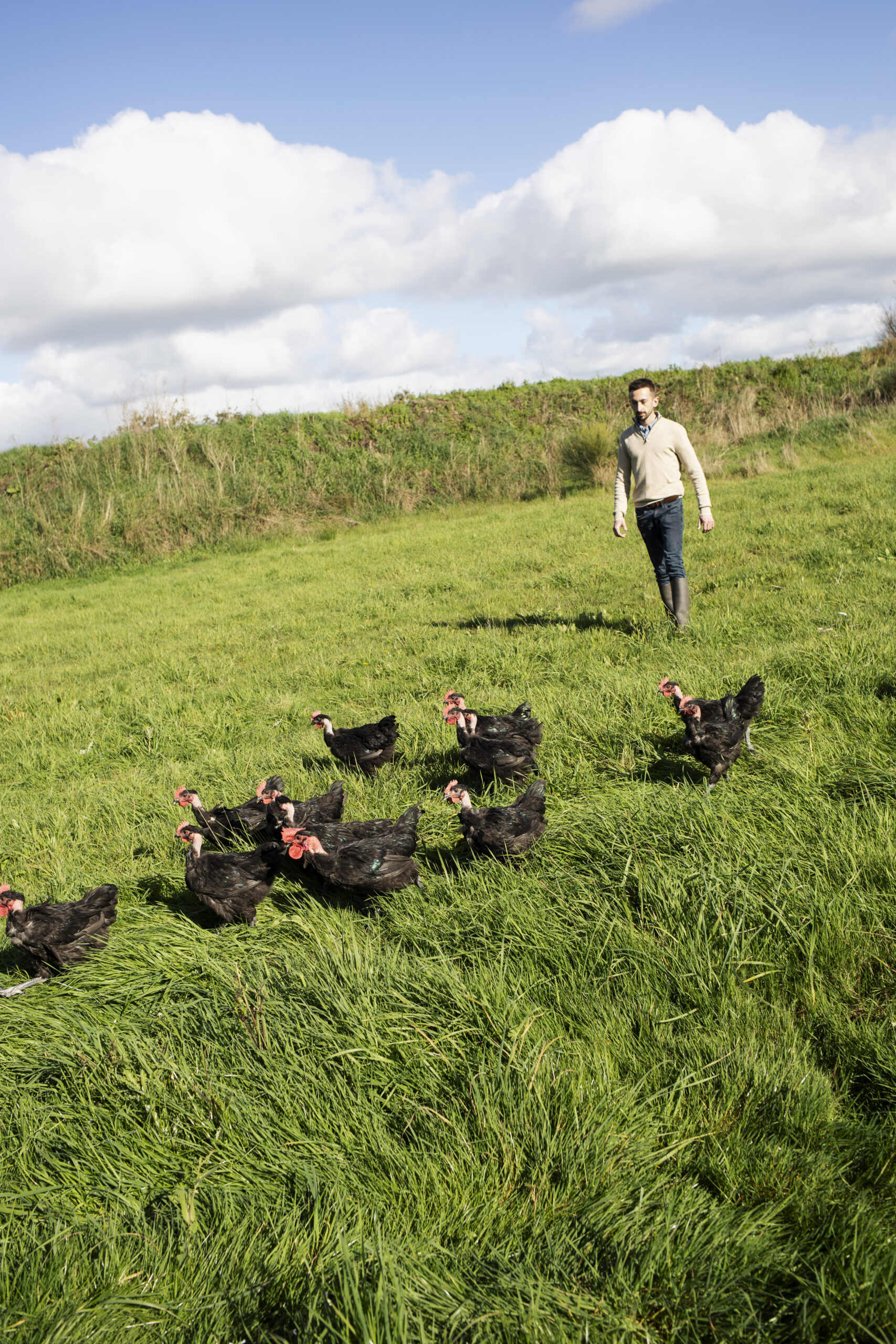 Éleveur bio Jérôme marchant dans un champ avec ses poulets noirs en plein air.